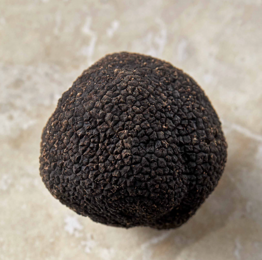 Truffe Noire du Périgord (extra)