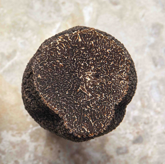 Truffe Noire du Périgord (brisés ou en morceaux)